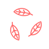 nani-icon-blaetter